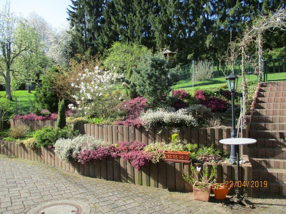 Pension Hilberath Kottenborn Exterior foto
